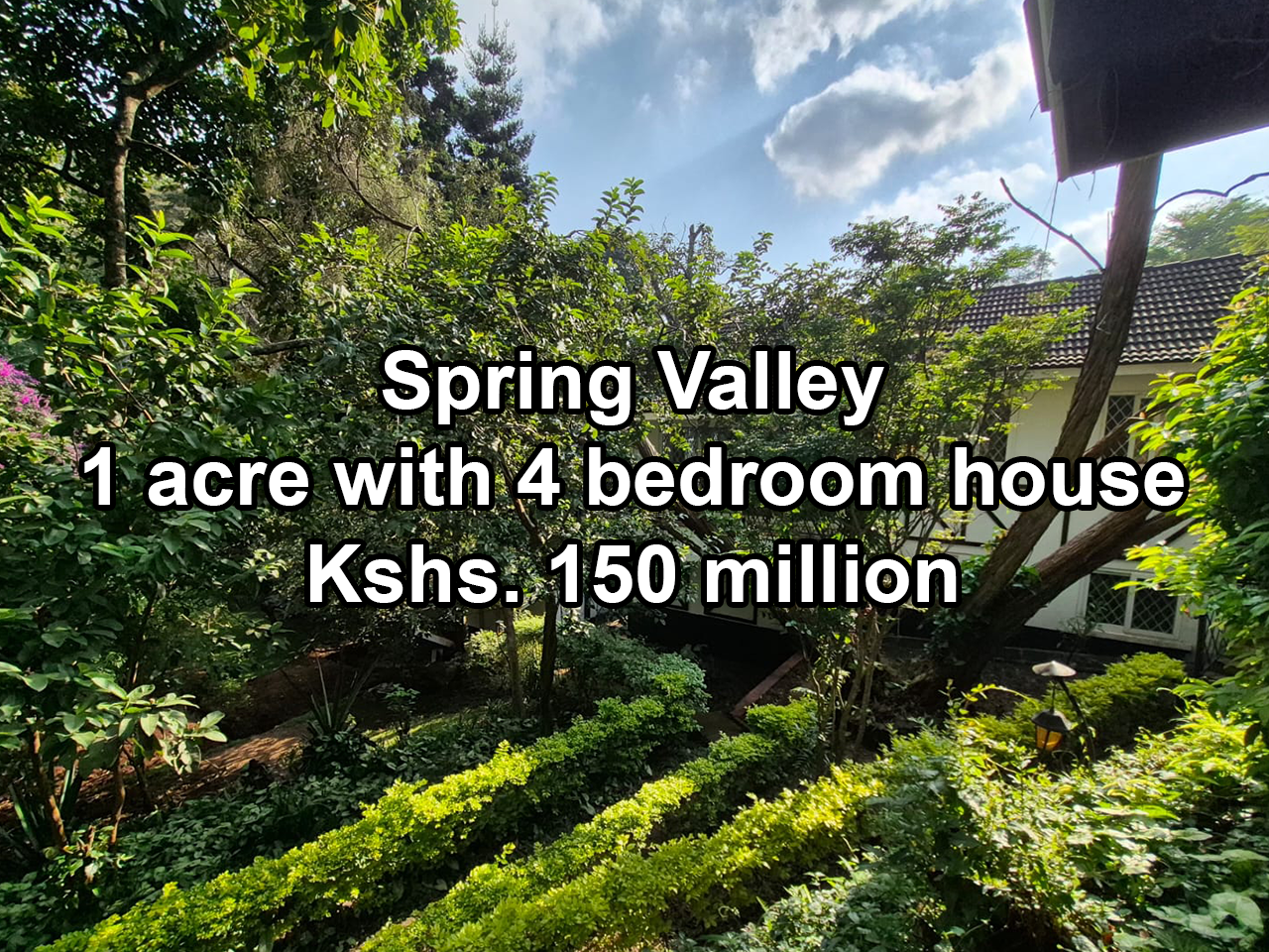 Spring Valley Listing